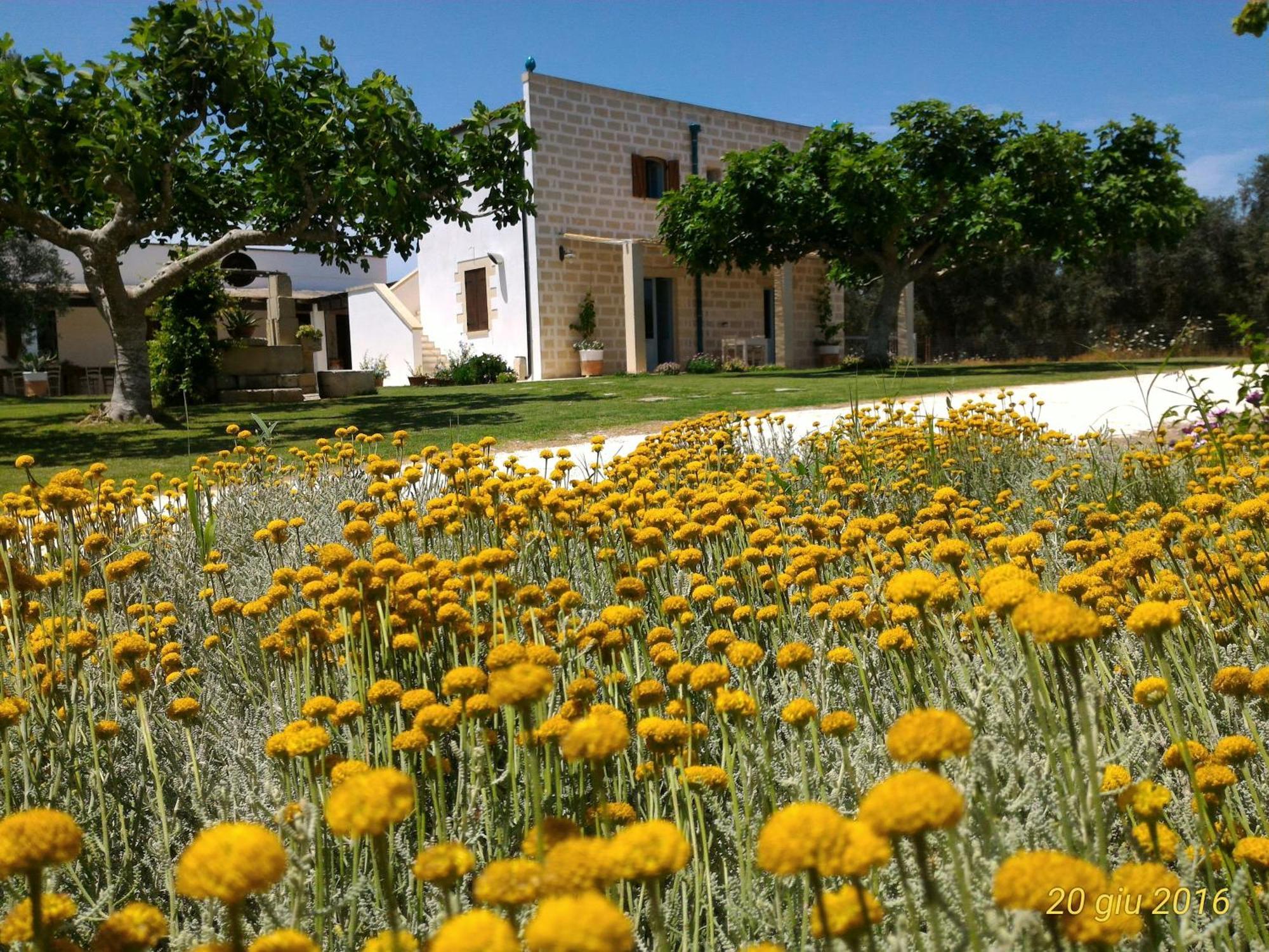 Masseria Vignenove Uggiano La Chiesa Exterior photo